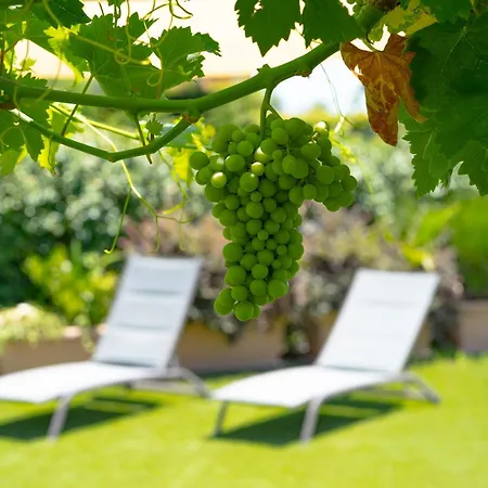 Etna Bike Bed and breakfast 3*