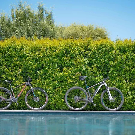 Bed and breakfast Etna Bike 3*