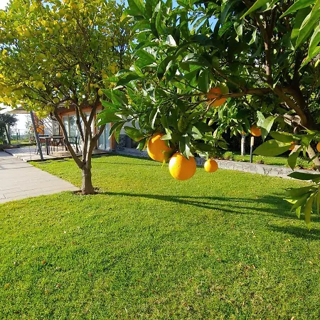 Bed & Breakfast Etna Bike